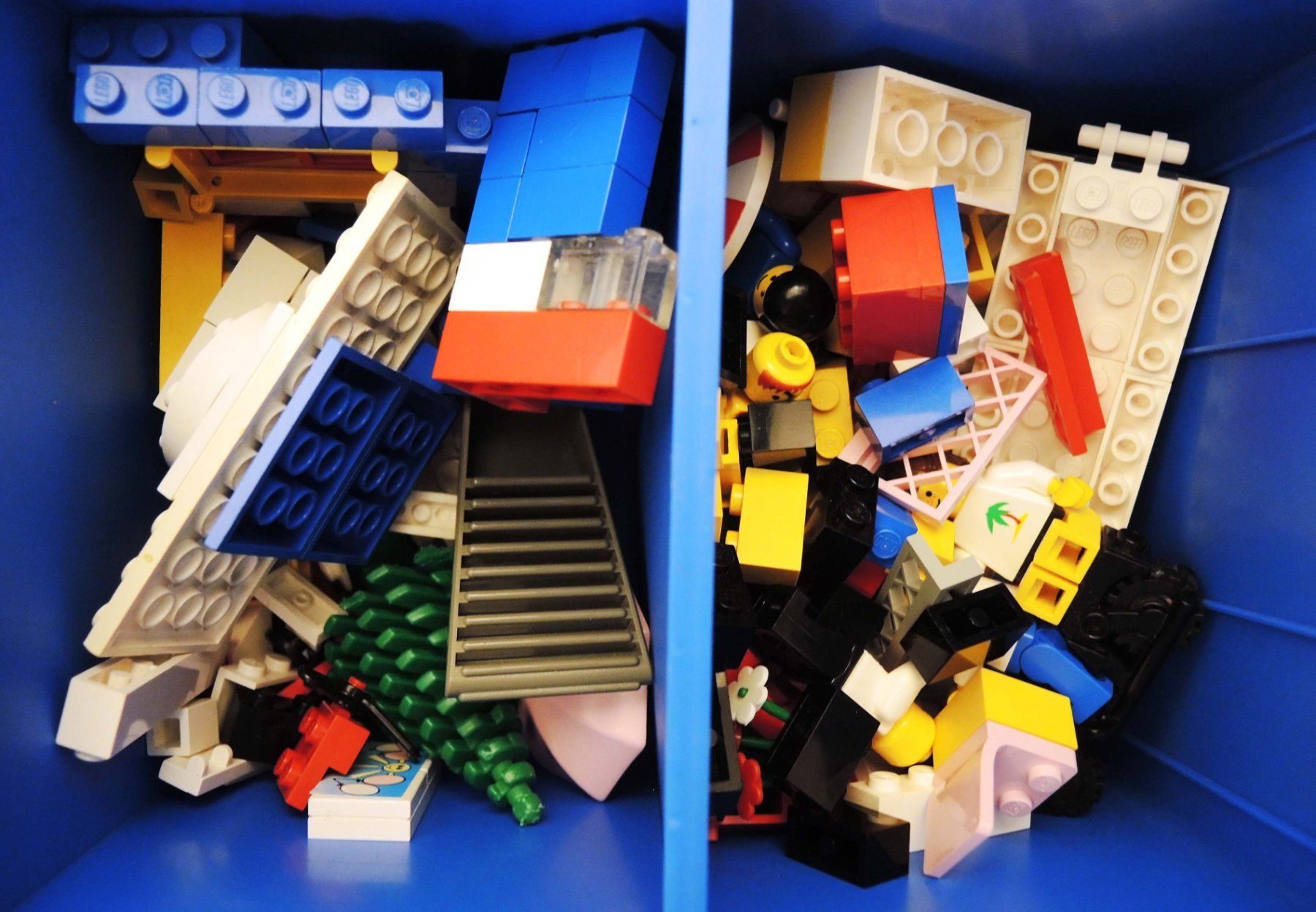Lego Giocattoli: Lego Sortierbox mit vielen Bausteinen – Usato da St. Gallen venduto da nonnobene 5