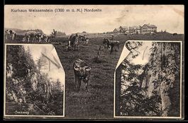 AK Weissenstein, Kurhaus Nordseite, Risi-Fußweg