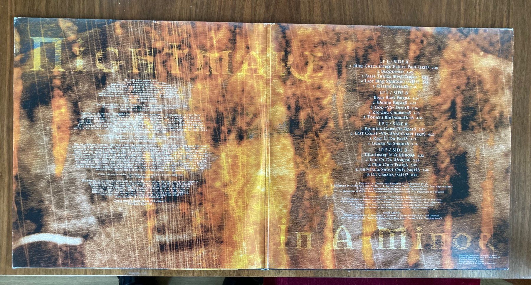 Dischi in vinile: Doppel-LP: Gravediggaz - Nightmare in a-mirror 2002 – Usato da Basel venduto da leinaz 1