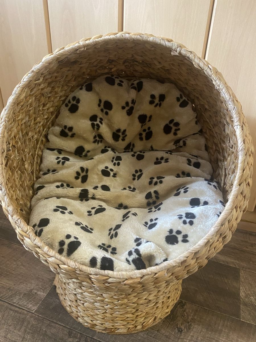 Cucce & Letti: Rattan Hunde/Katzenkorb Bett – Usato da Seewen SZ venduto da shaky01 6