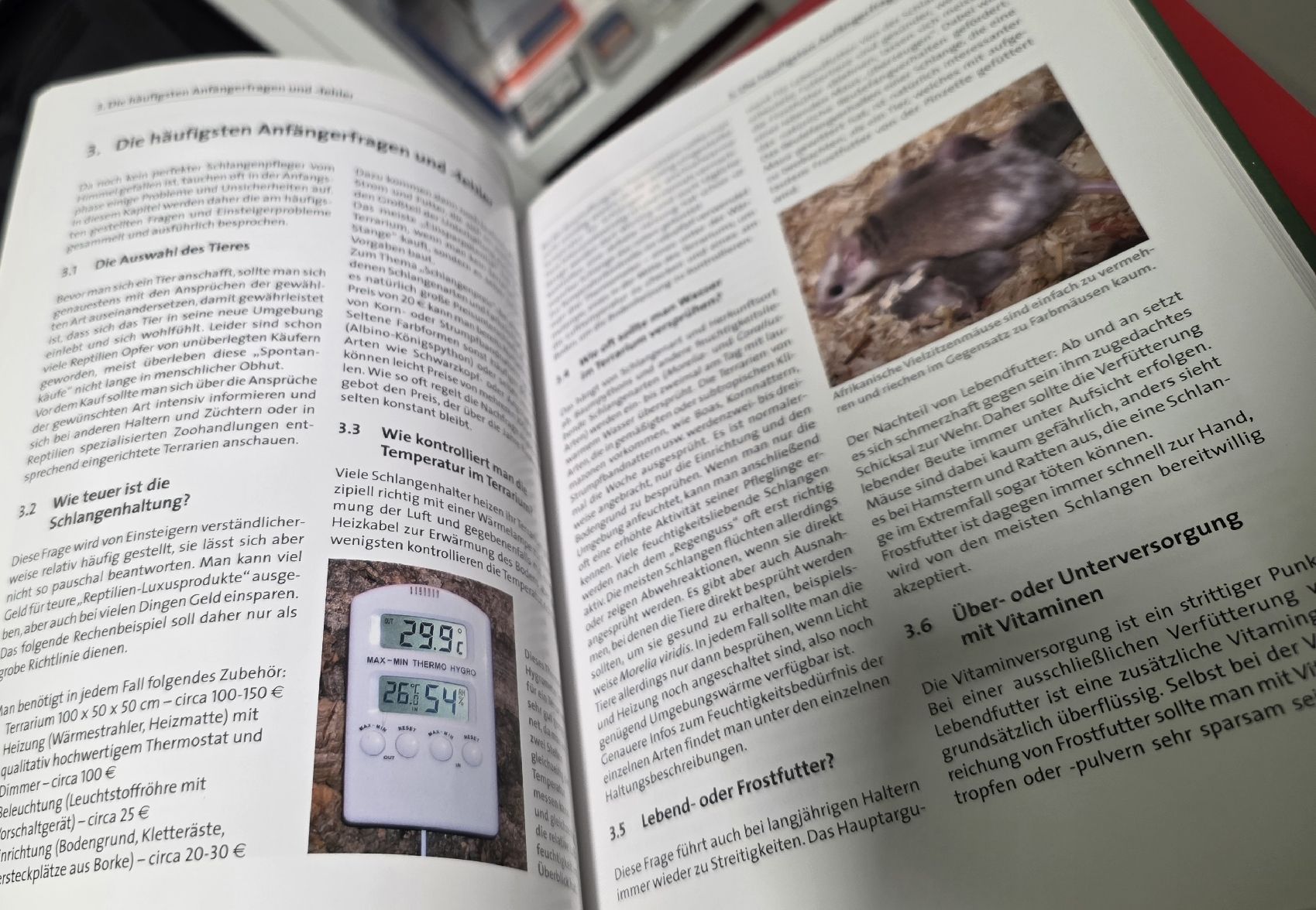 Libri: Schlangenpflege Handbuch (BUCH) – Usato da Reinach BL venduto da _MasterK_ 8