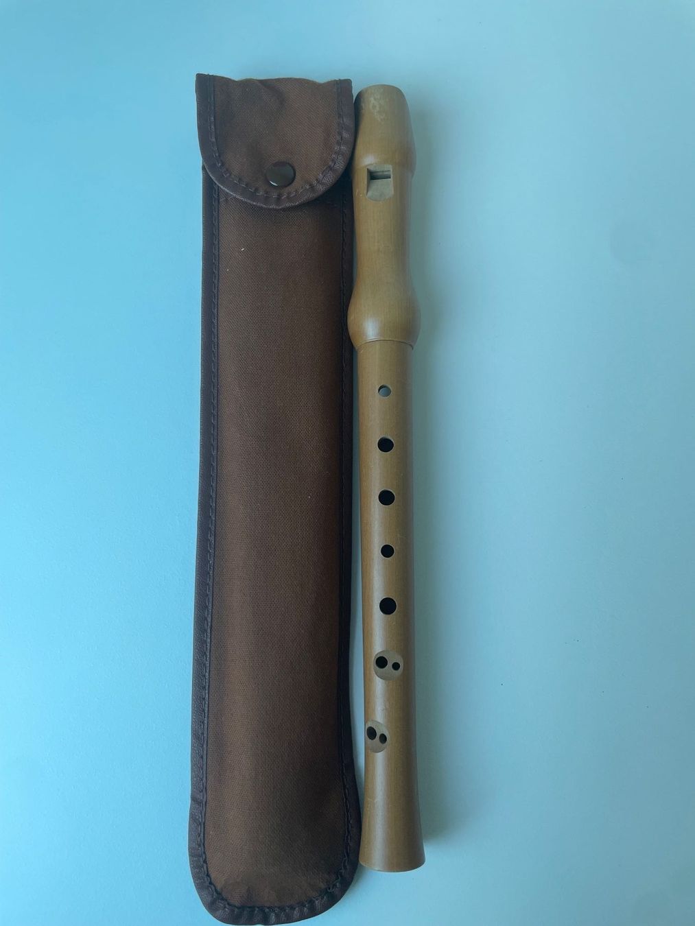 Strumenti musicali: Holzblockflöte mit Tasche – Usato da Niederglatt ZH venduto da ctulimp