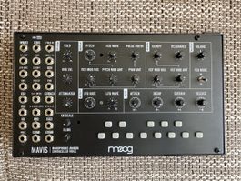 Moog Mavis Synthesizer - Analoger Sound zum kleinen Preis!