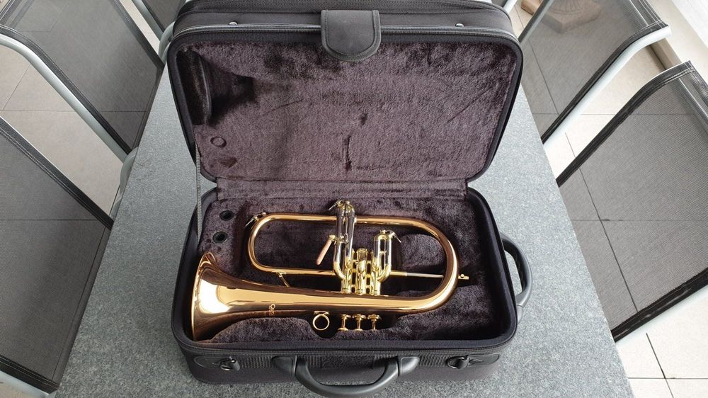 Flügelhorn Carol Brass CFL6200RSS Kaufen auf Ricardo
