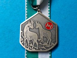2 Gemsen 1973 (u141)