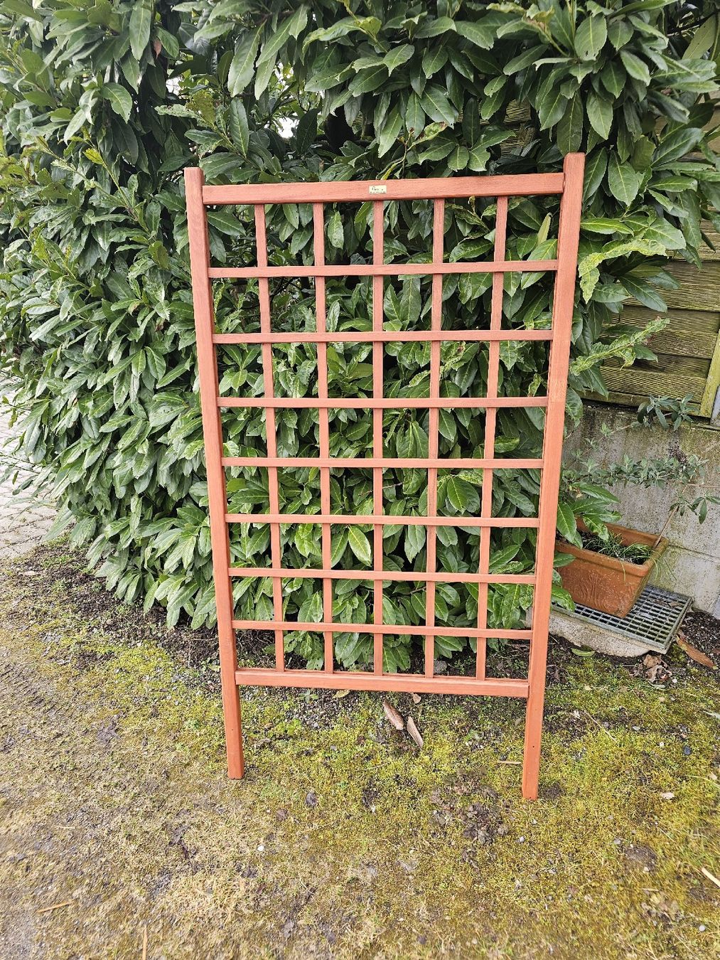 Altre Decorazioni per giardino: Rankgitter – Nuovo (secondo la descrizione) da Fahrwangen venduto da Nepomuk21
