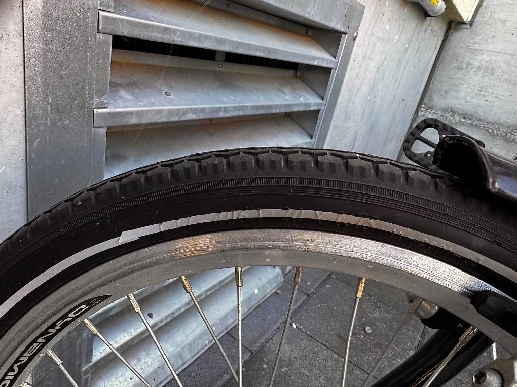 Biciclette: 2 Stk. Camping Fahrräder  – Usato da Suberg venduto da Kloesi 3