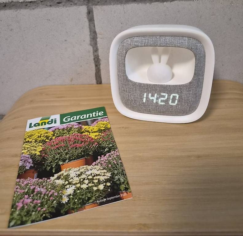 Sveglie: Wecker Hase – Usato da Melchnau venduto da Rhabarber_98
