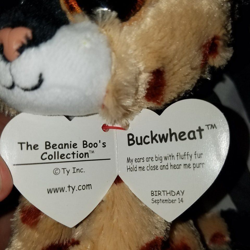 Giocattoli: the beanie boos collection BUCKWHEAT – Nuovo e nell'imballaggio originale da Allenwinden venduto da Obalu 1