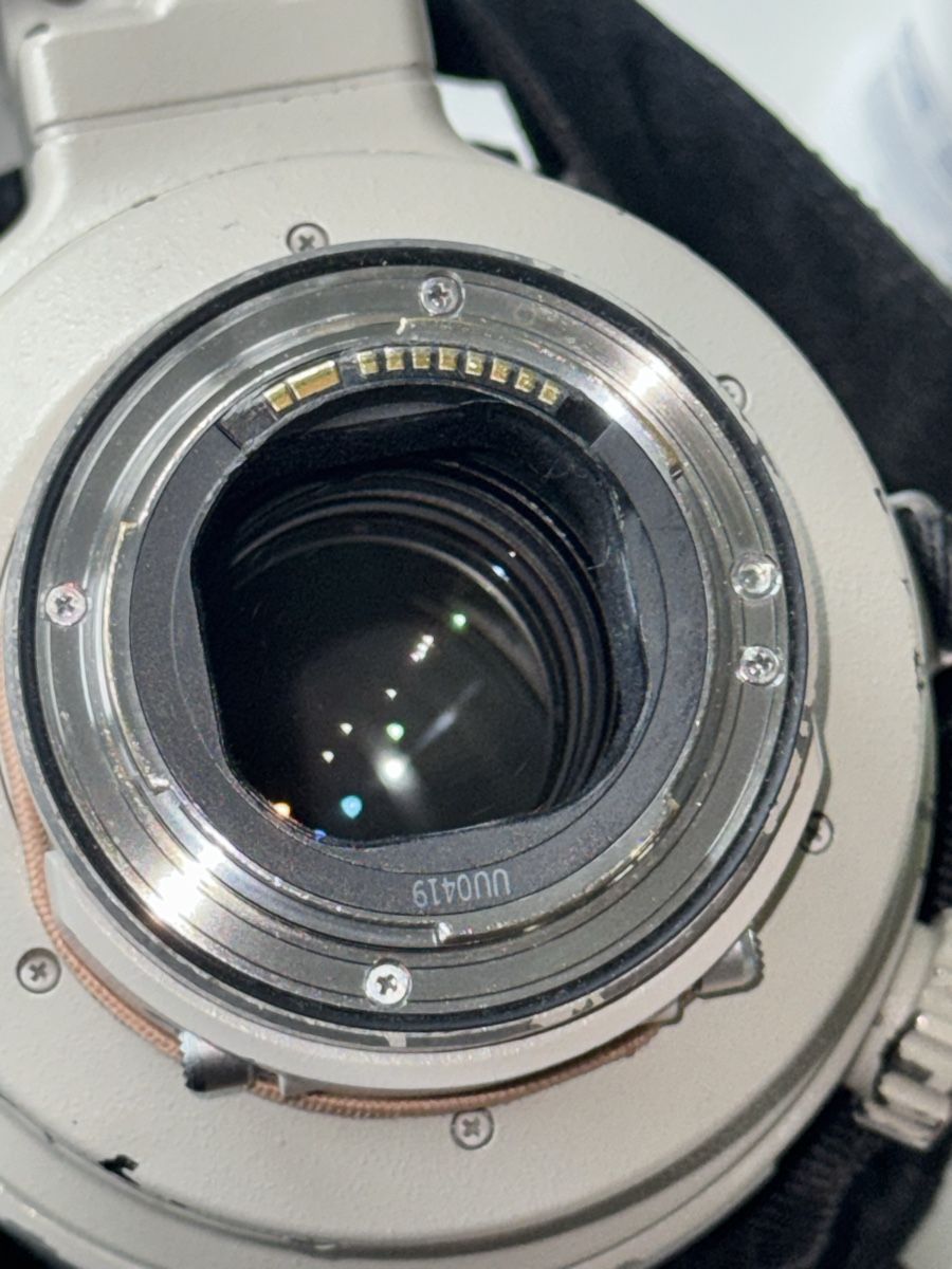 Canon Obiettivi: Canon EF 400mm 2.8 L IS USM – Usato da Wallisellen venduto da nicksoland 1