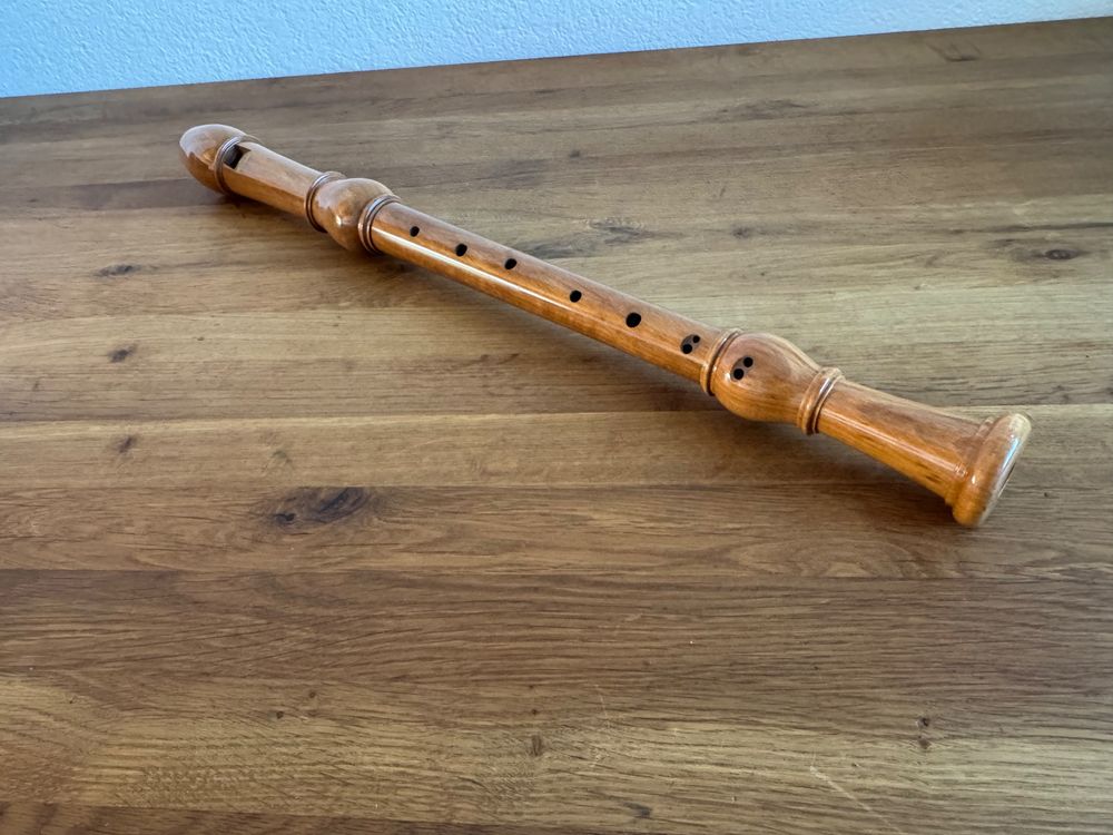 Blockflöte (Gebraucht) in Frauenfeld für CHF 26 – nur Abholung auf ...