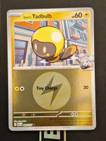 Iono's Tadbulb Reverse Holo Energy - Pokemon Ascended Heroes