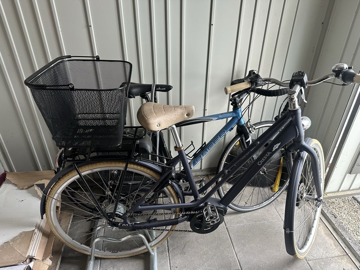 Cresta Velos: Cresta E-Citybike – Gebraucht aus Appenzell Eggerst. von JoyaD 1