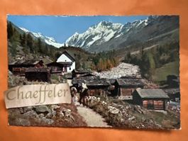1967 Lötschental Kühmatt mit Schienhorn gelaufen