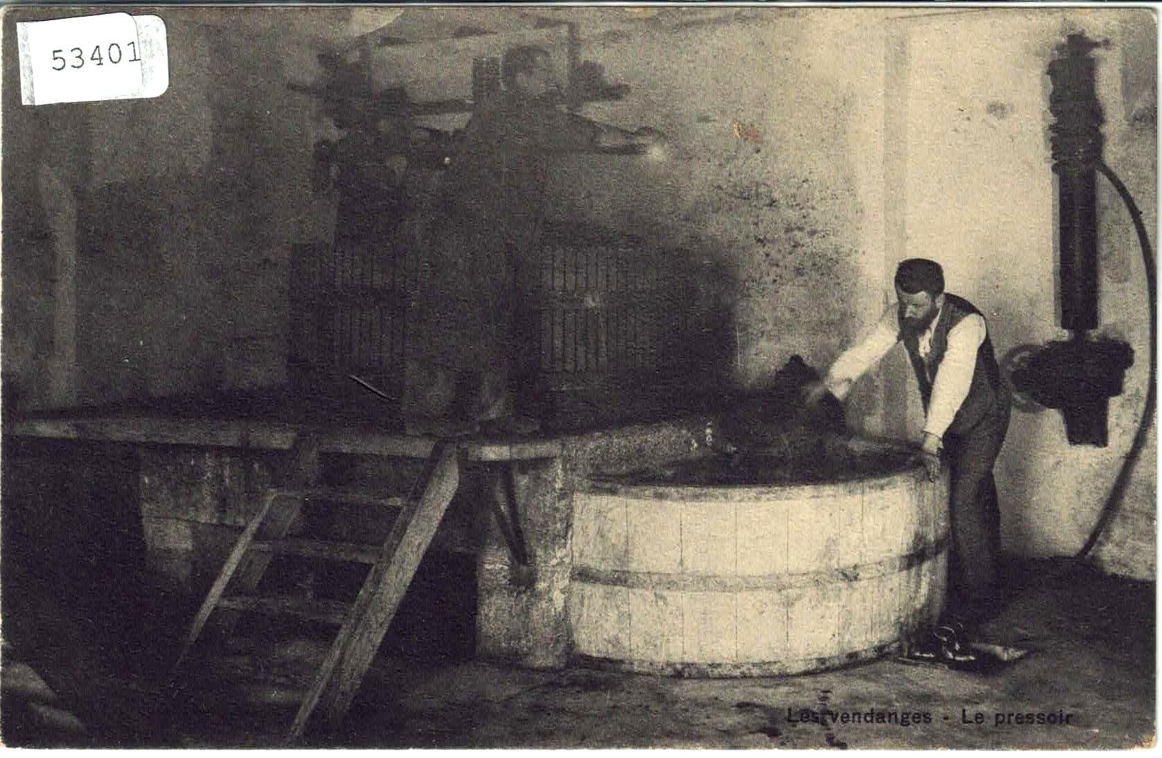 Cartes postales: Les vendanges - Le Pressoir - Weinpresse – D'occasion à Ettingen par Kartenplanet