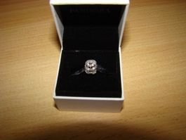 Pandora, Feuilles Etincelantes Ajourées (791380CZ)