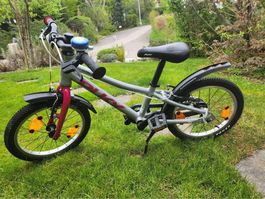 PUKY LS-PRO 16 Kinderfahrrad – Sehr leicht