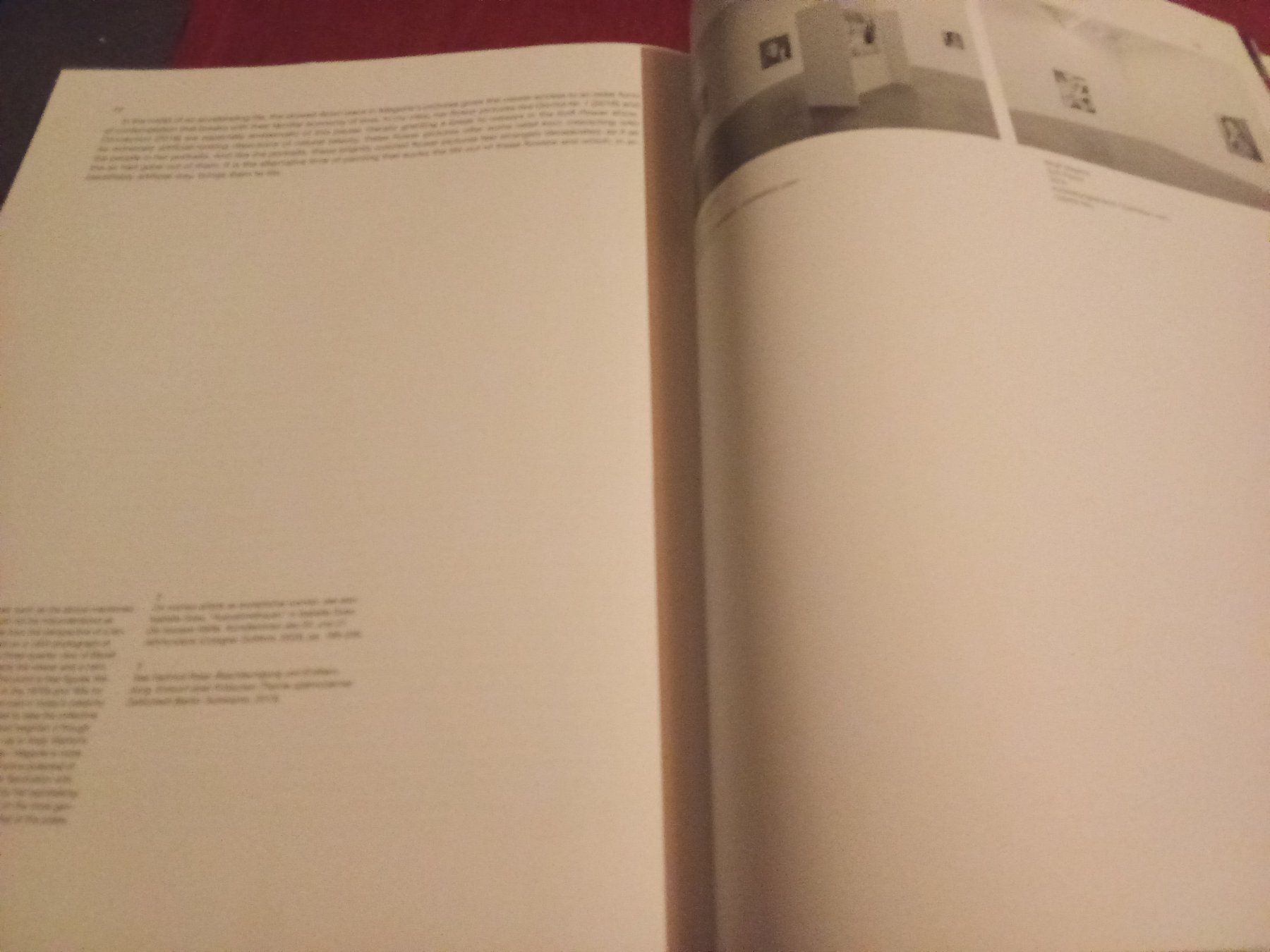 Libri: Birgit Megerle. The Painted Veil – Usato da Remetschwil venduto da Privatflohmi 4