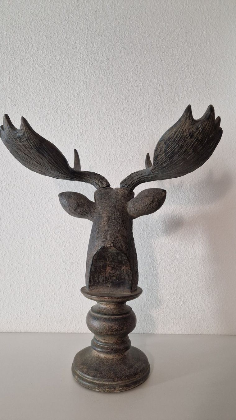 Tutte le decorazioni: Elchkopf – Usato da Luzern venduto da kzu_8qsg 3