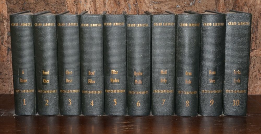 encyclop-die-larousse-en-10-volumes-kaufen-auf-ricardo