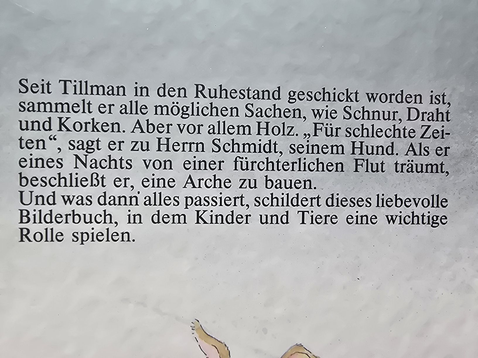 Bücher: Tillmann Traum – Gebraucht aus Hedingen von mickway 1