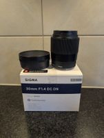 Sigma 30mm f/1.4 DC DN C, Sony E + HOYA filter kit II
