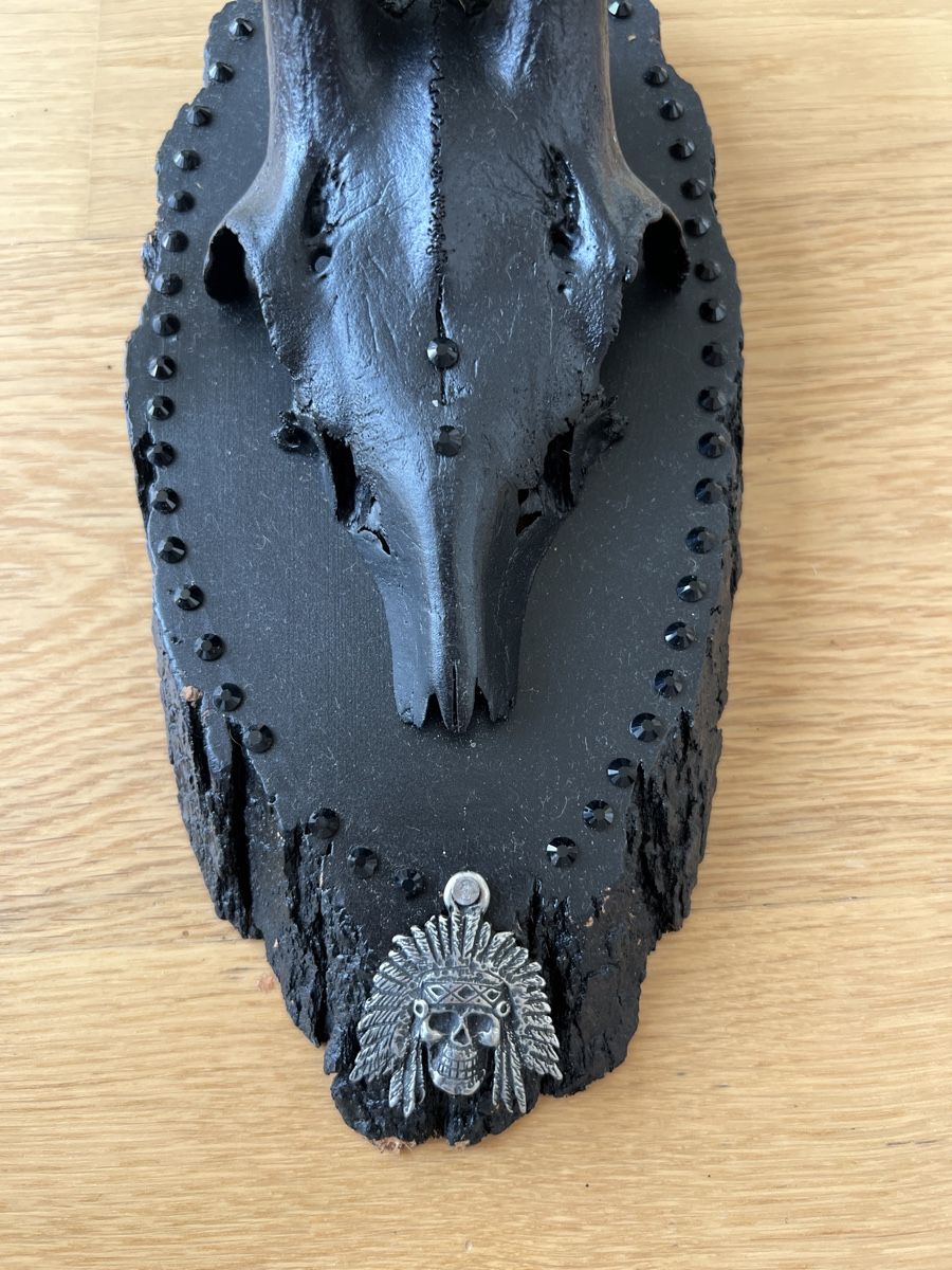 Altre raccolte & rarità: Schwarzes Rehgeweih Wanddeko Boho Gothic Stil – Usato da Andelfingen venduto da Taysway 2