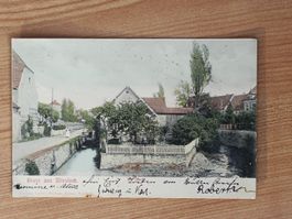 Alte PK / Gruss aus Wiesloch - Die Insel Gelaufen 1905