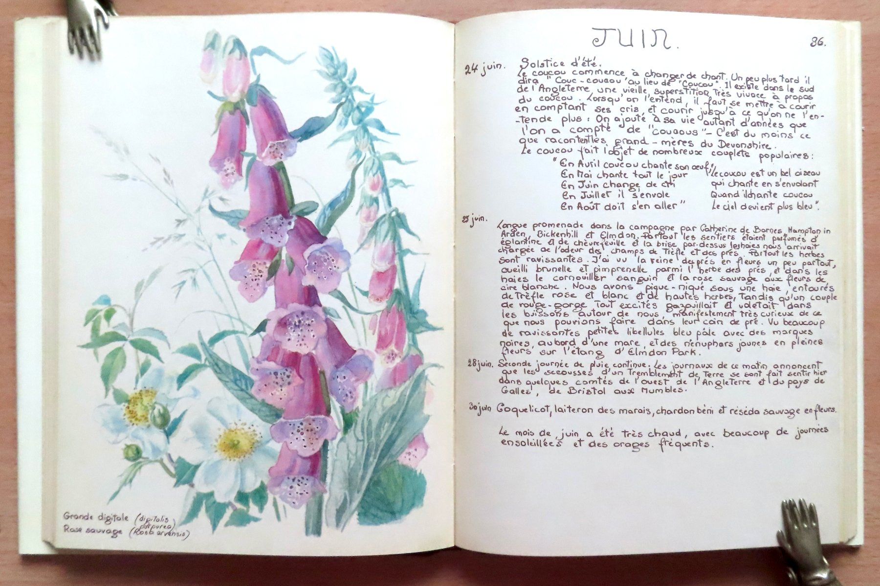 Libri: Journal champêtre d'Edith Holden – Usato da Le Locle venduto da LibrairieLaBergerie 2