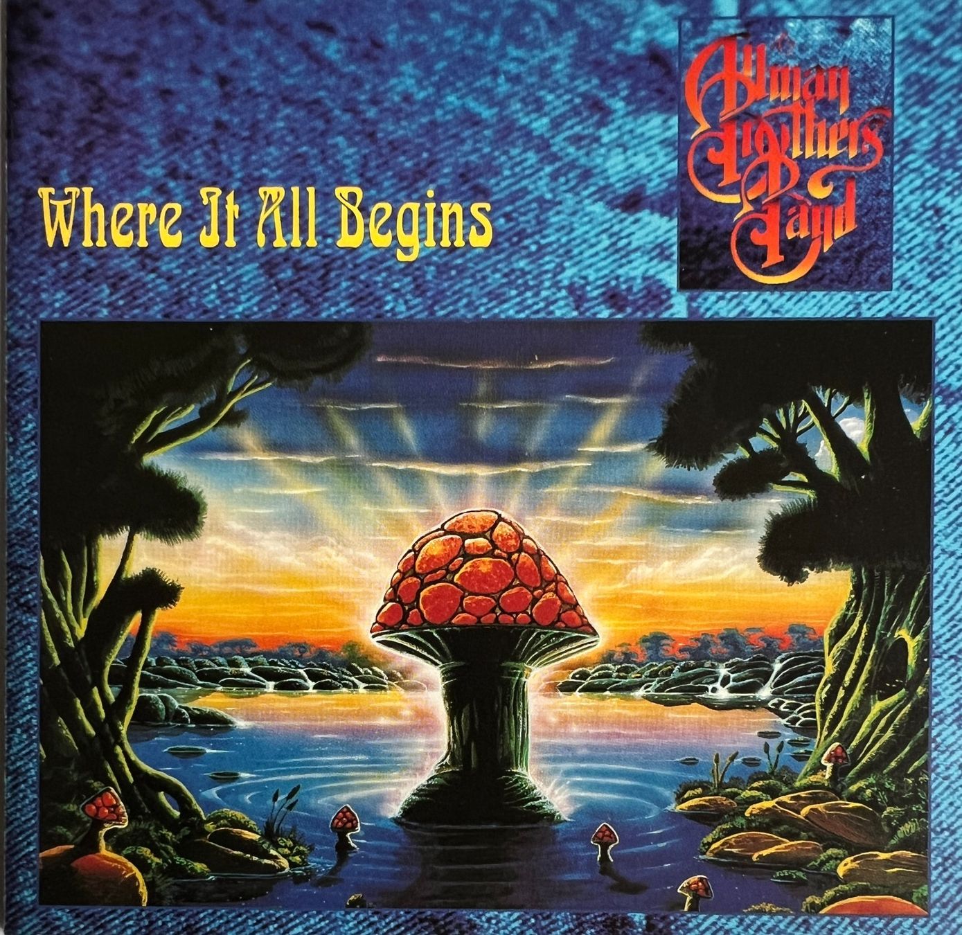 CDs: ALLMAN BROTHERS / Where it All Begins – Gebraucht aus Bischofszell von kustavi
