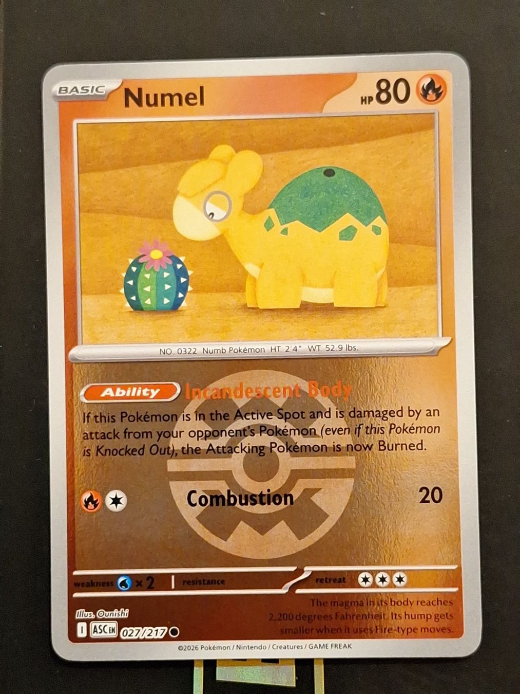 Pokémon Carte collezionabili: Numel - Pokemon Reverse Holo Ball - Ascended Heroes – Usato da Altstätten SG venduto da GGsGameshop