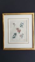 Blumen. Kuperstich von Capieux 1798. Über Eck vergoldet.