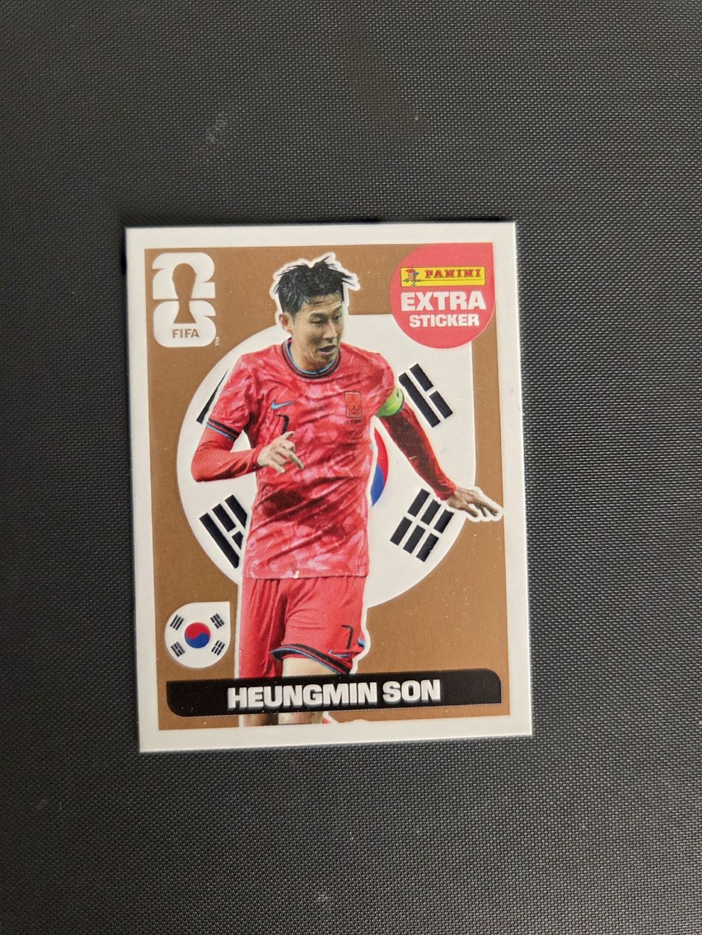 Panini Carte collezionabili: extra sticker  – Nuovo (secondo la descrizione) da La Chaux-de-Fonds venduto da tur_nkx9