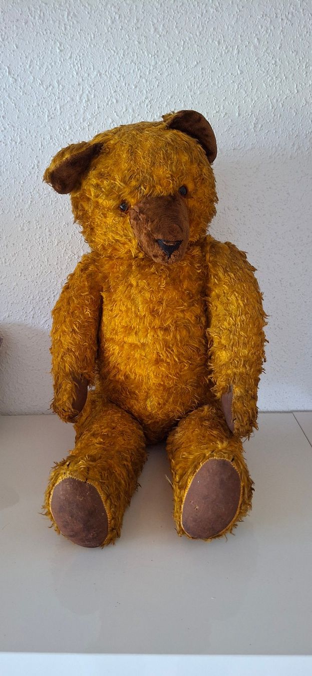 Giocattoli: Antiker Teddybär – Usato da Reinach BL venduto da Chela04