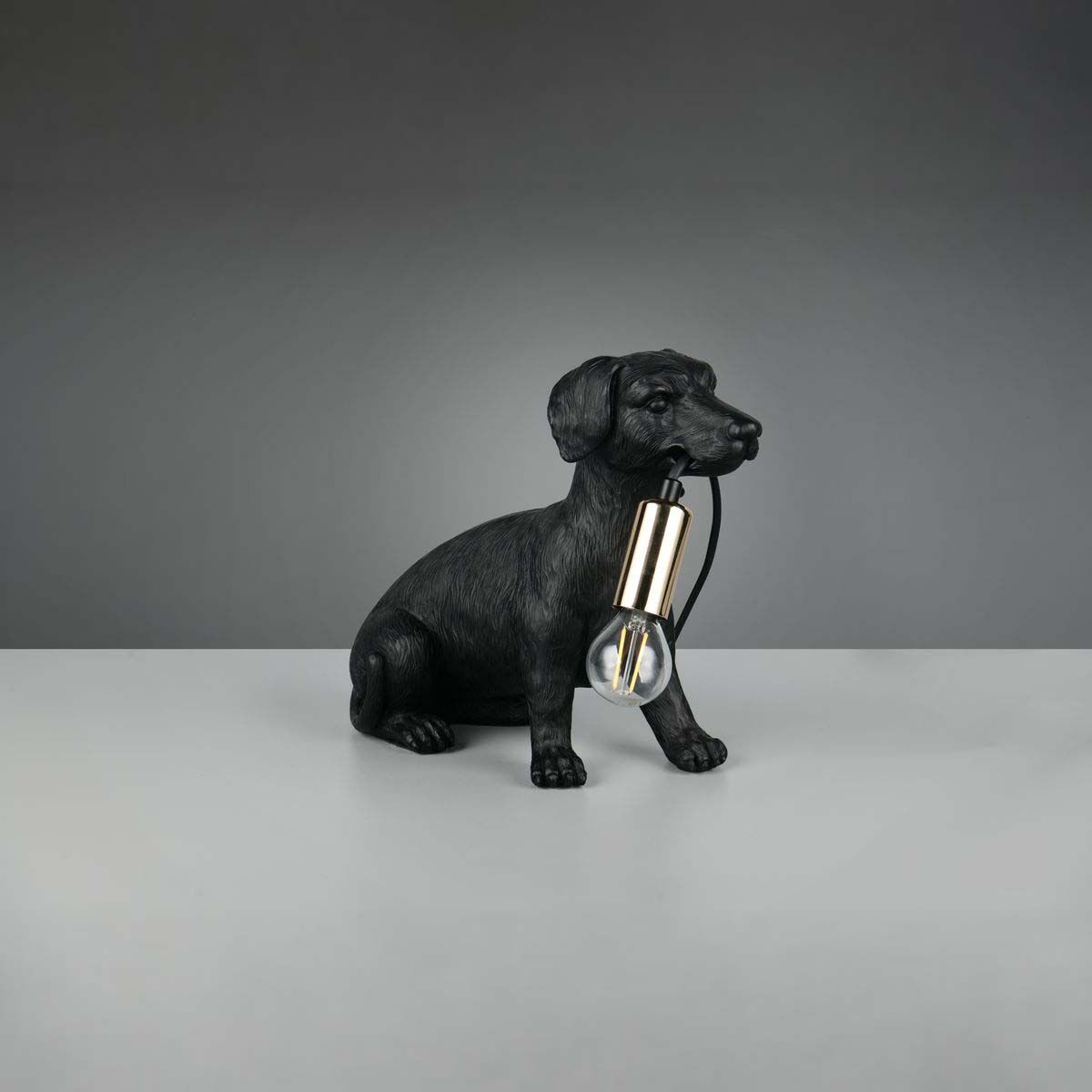 Lampade: Tischleuchte, Hund, 24 cm Höhe – Nuovo (secondo la descrizione) da Kreuzlingen venduto da Smart-Light 1