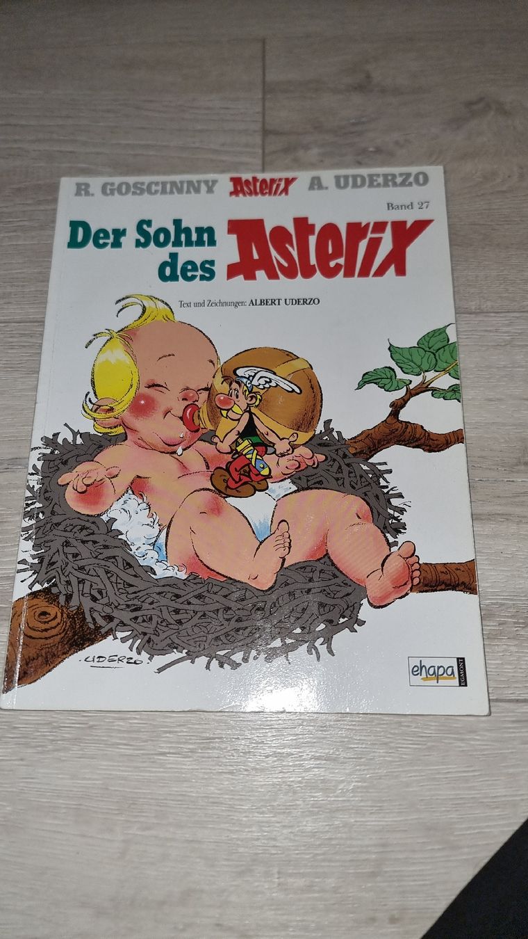 Comics: Asterix - Der Sohn des Asterix, Band 27 – Gebraucht aus Wigoltingen von Zuckerfee84