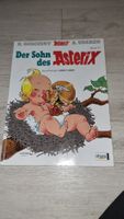 Asterix - Der Sohn des Asterix, Band 27