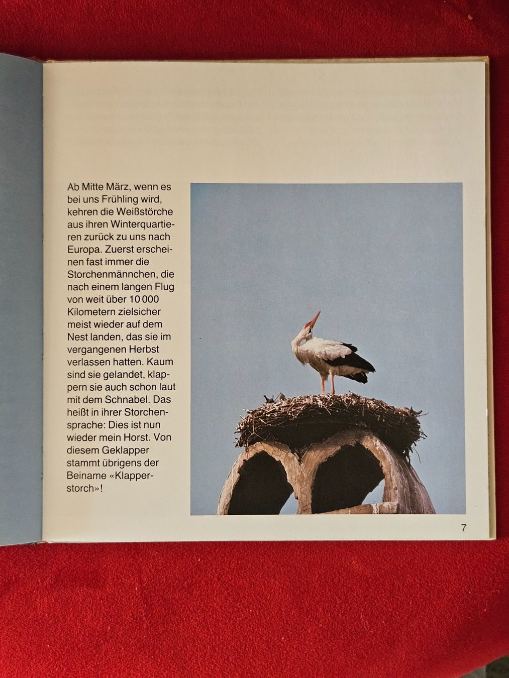 Bücher: Das Storchenjahr – Gebraucht aus Staffelbach von Frisco77 1