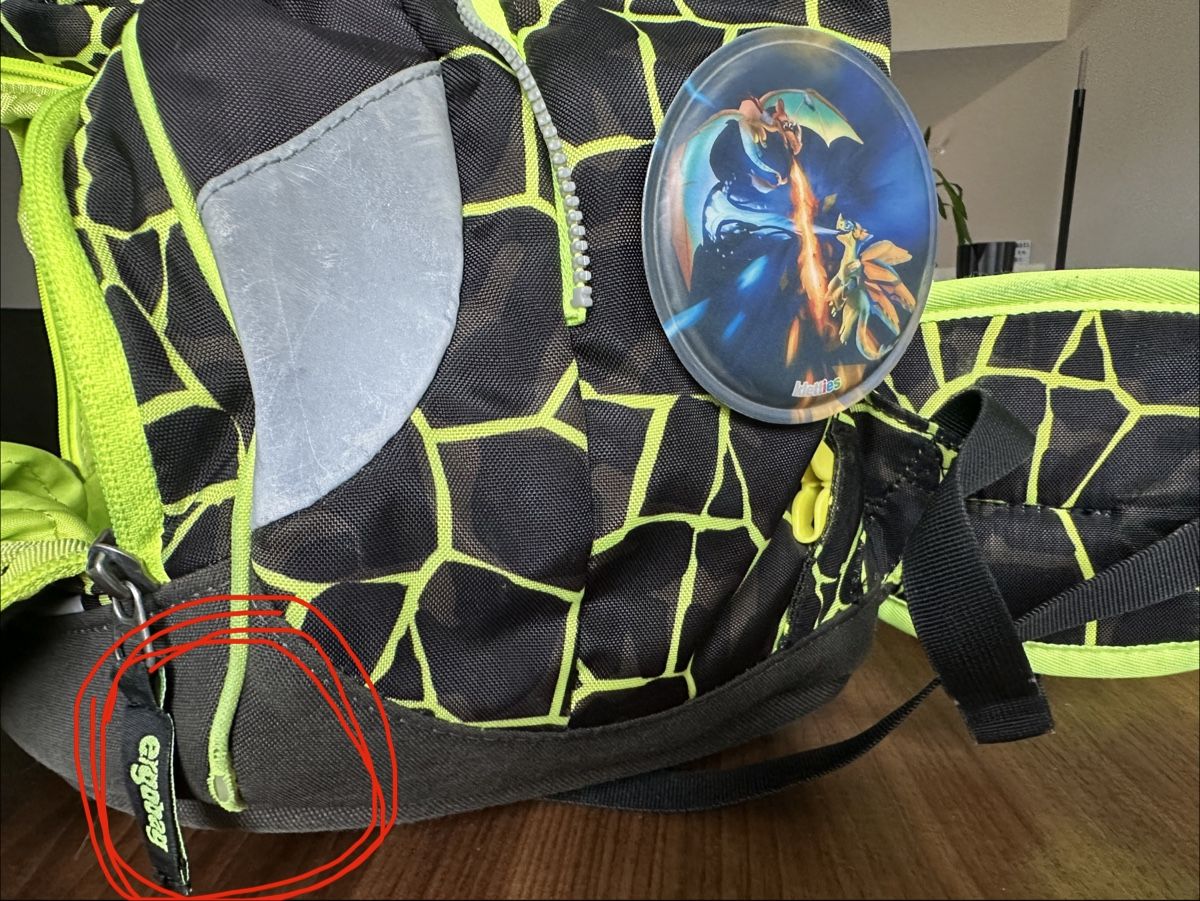 Ergobag Sacs à dos: Schulrucksack Ergobag mit Etui – D'occasion à Winterthur par manelio113 2