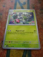 POKEMON  Floragato   I  JTG EN  017/159   HP90   2025