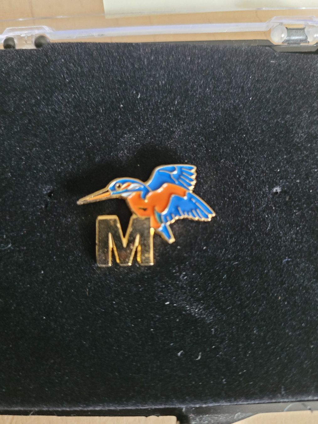 Placchette & Badge: Pin – Usato da Schwarzenburg venduto da Obofi