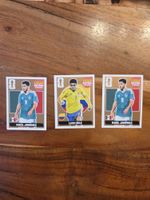 Panini Bronze Sammelkarten Extra