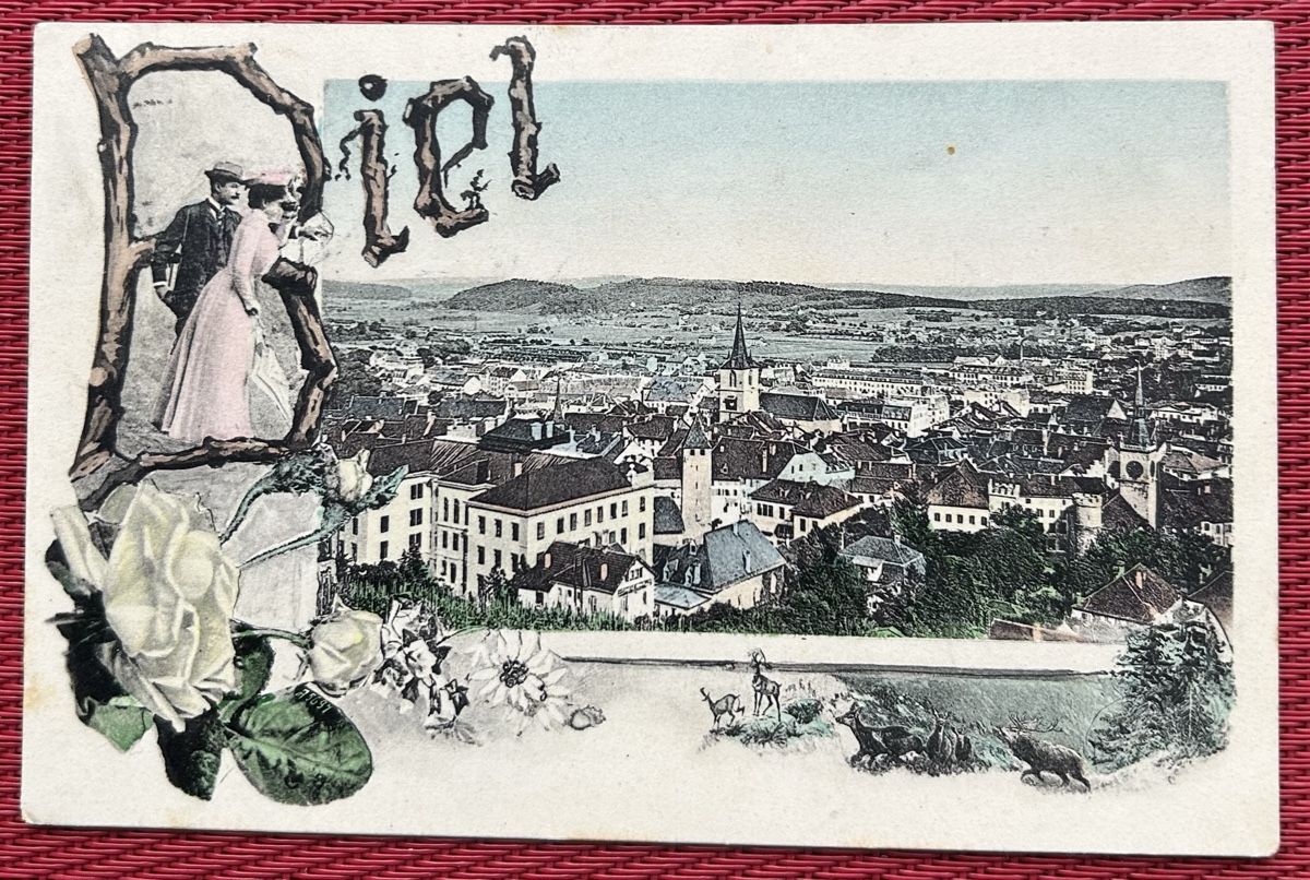Cartoline postali: AK Biel Bienne 1906 – Usato da Horw venduto da Tellbub