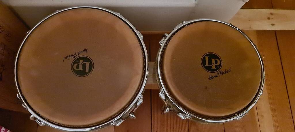 Musikinstrumente: Trommeln Bongos neu – Neu und originalverpackt aus Reinach BL von mar_5yyy 1