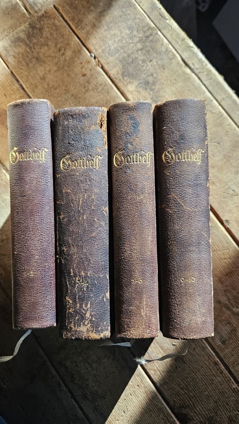 Libri: Gotthelfs Werke – Usato da Schwanden Sigrisw venduto da Pumuckel27