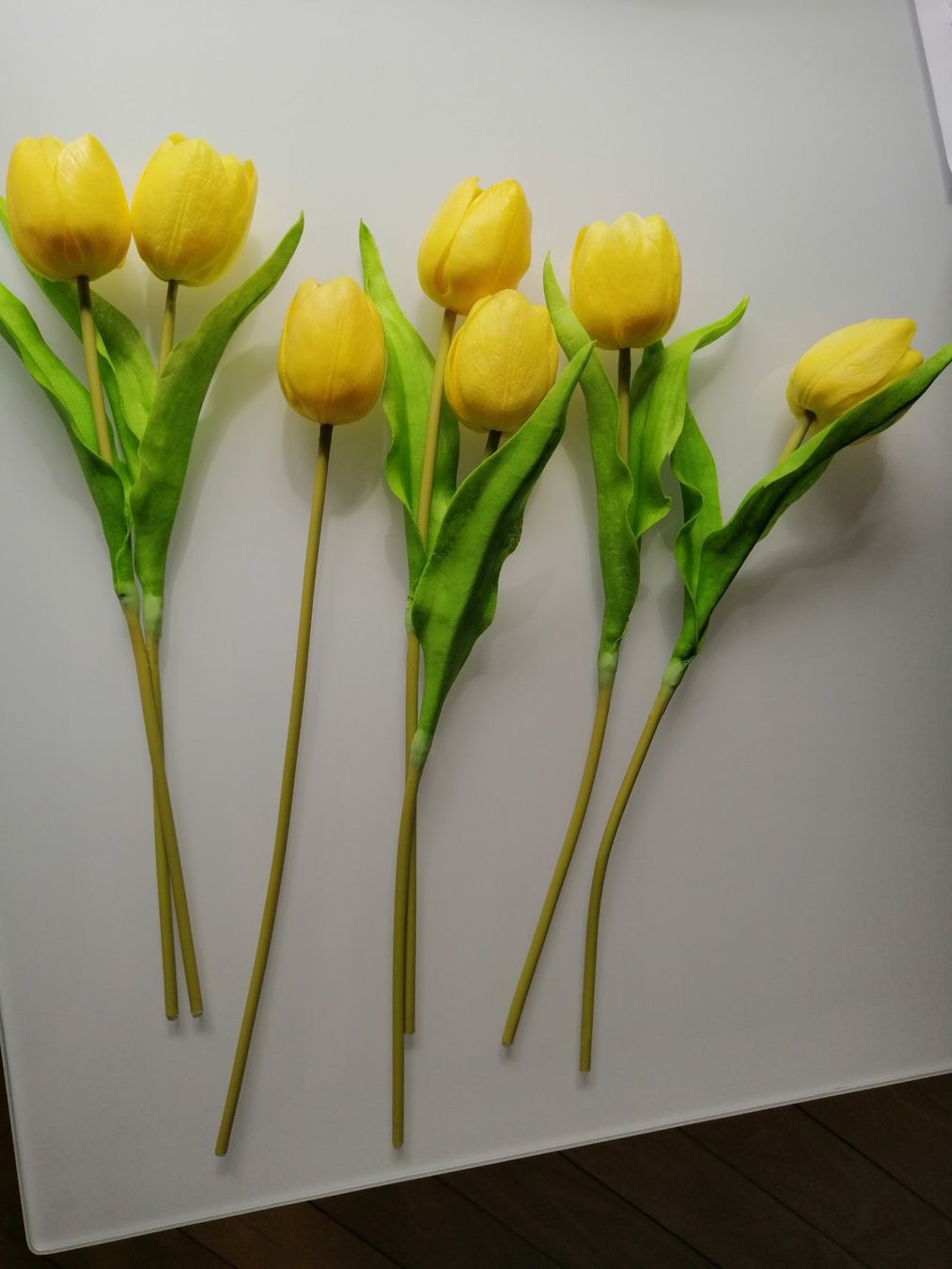 Pflanzen & Samen: gelbe kunst Tulpen 7 Stk. – Gebraucht aus Biel/Bienne von M.D.C 3