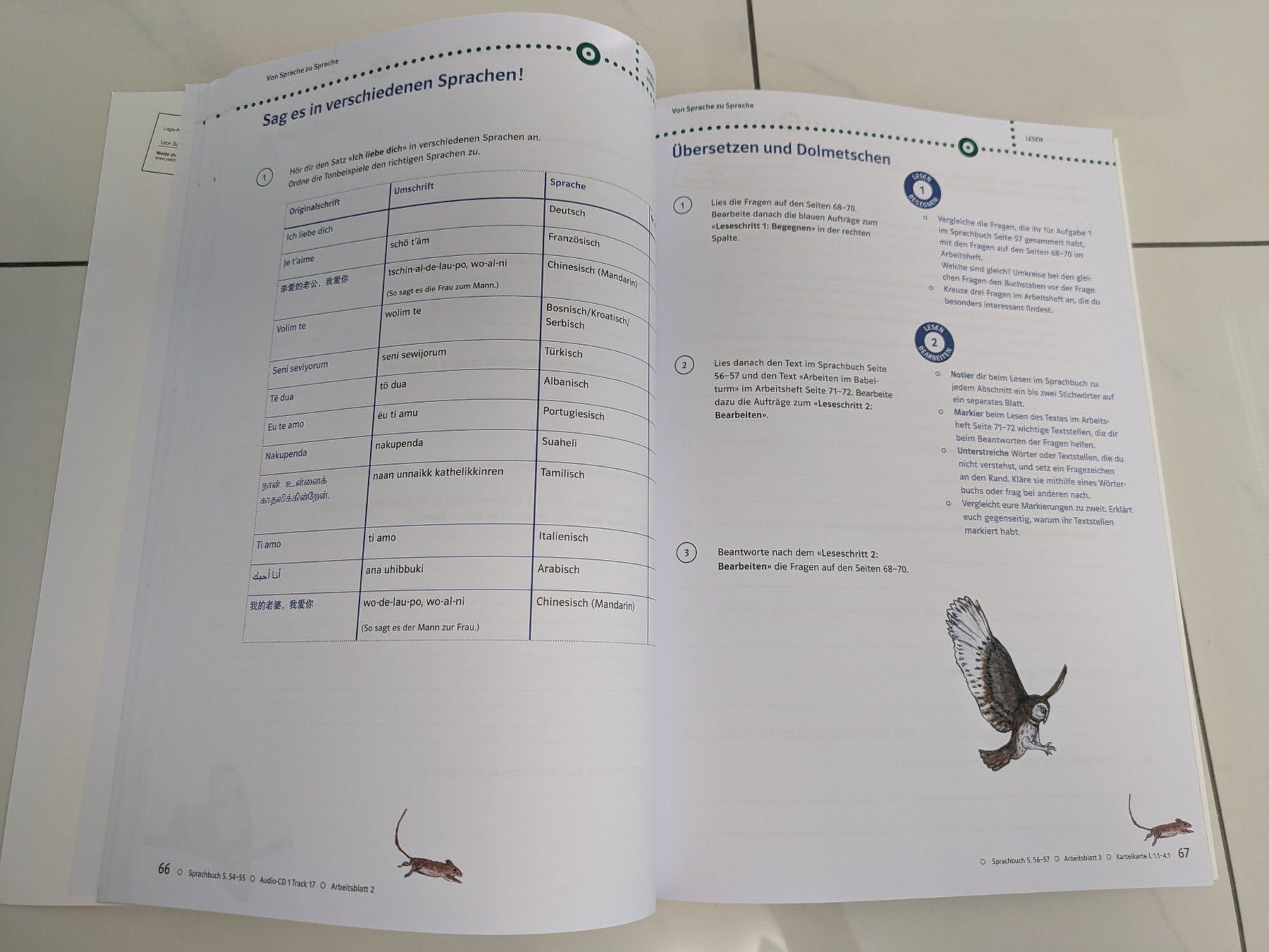 Livres: Die Sprachstarken 6, Arbeitsheft, Deutsch Primarschule – D'occasion à Uznach par binmaley 5