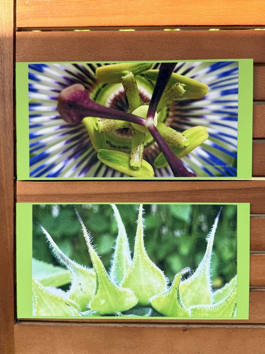 Karten: Fotokarten – Neu und originalverpackt aus Riehen von Claudia024