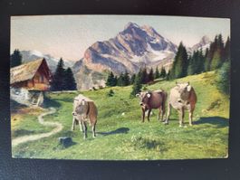 Säntis? Schweiz mit Kühen und Bergpanorama! ca. 1910