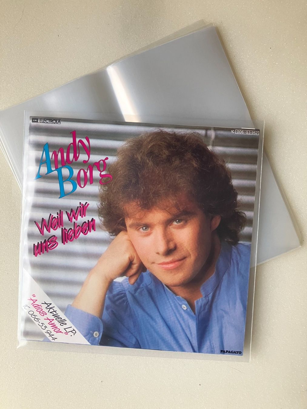 Dischi in vinile: Plastikschutzhüllen Singles – Nuovo e nell'imballaggio originale da Aarwangen venduto da Jukebox3 2